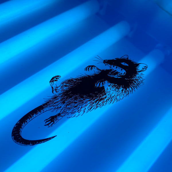 Lizard illustration film positive on the UV exposure unit, ready to burn at RVA Threads screen printing, Virginia
