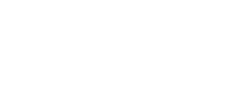 Gildan Soft Cotton, Plasma Print & New Labels Explained | RVA Threads